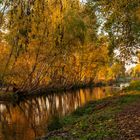 Pfefferfließ im Herbst