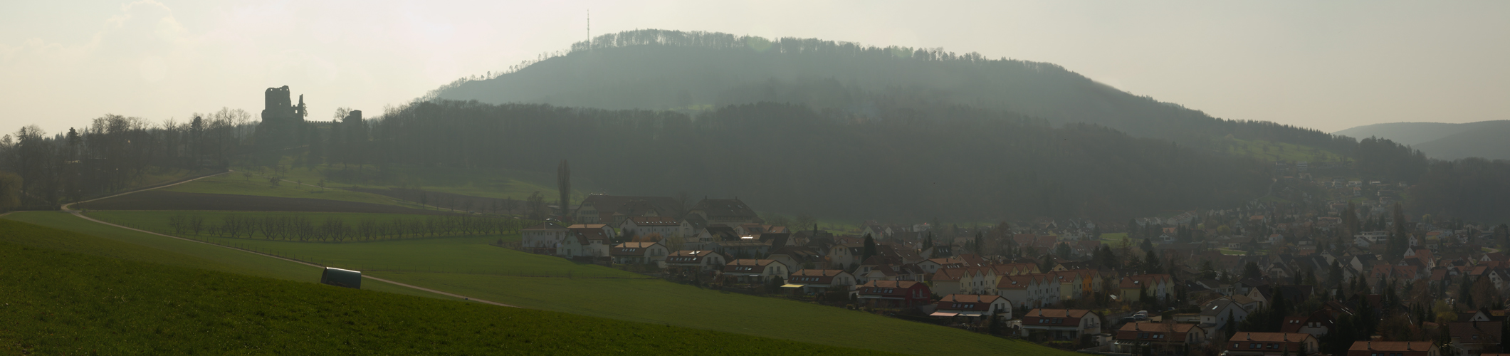 Pfeffingen mit Ruine