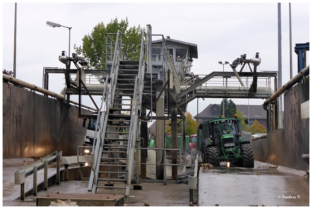 Pfeifer & Langen - Entladestelle für die von den Bauern angelieferten Rüben