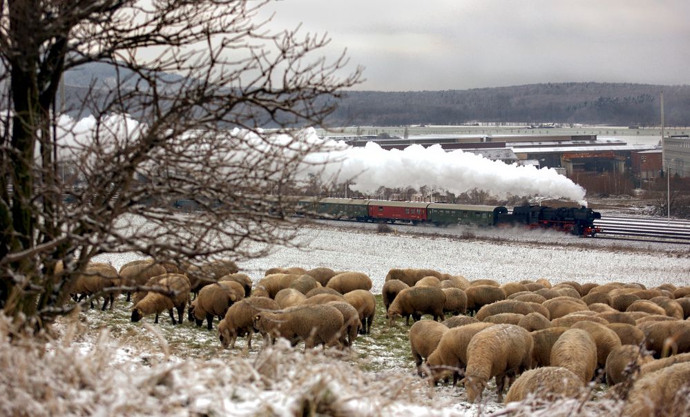 Pfennigsucher im Schnee