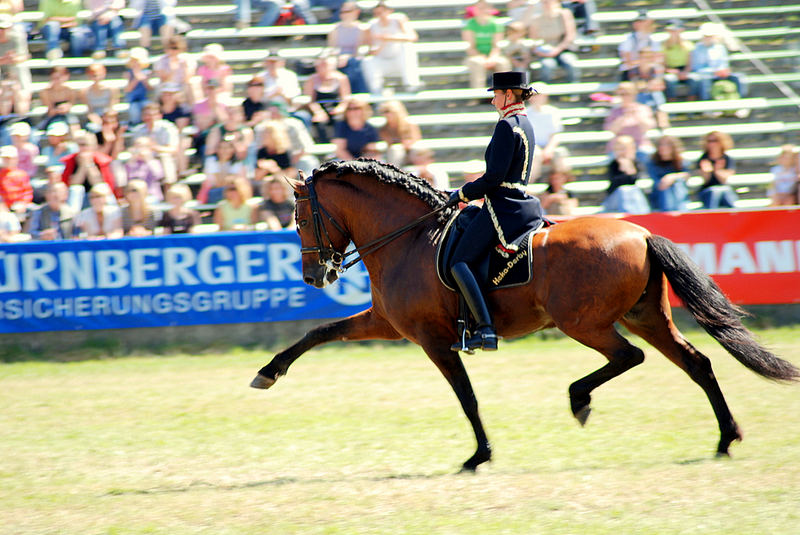 Pferd 2007 München