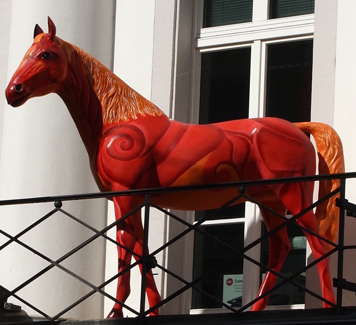 pferd auf Balkon
