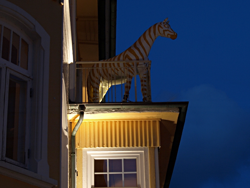 Pferd auf Balkon