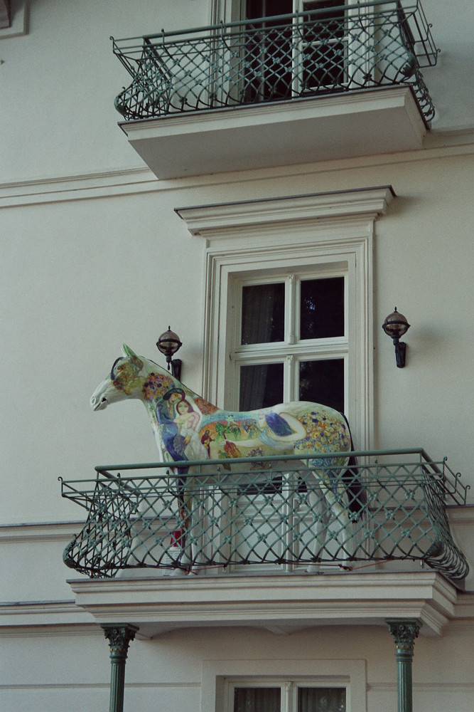 Pferd auf dem Balkon!!