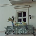 Pferd auf dem Balkon!!