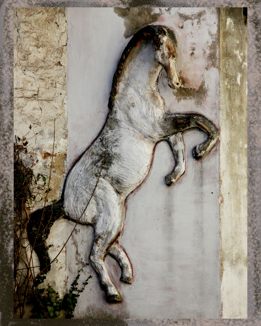 Pferd auf einer Wand