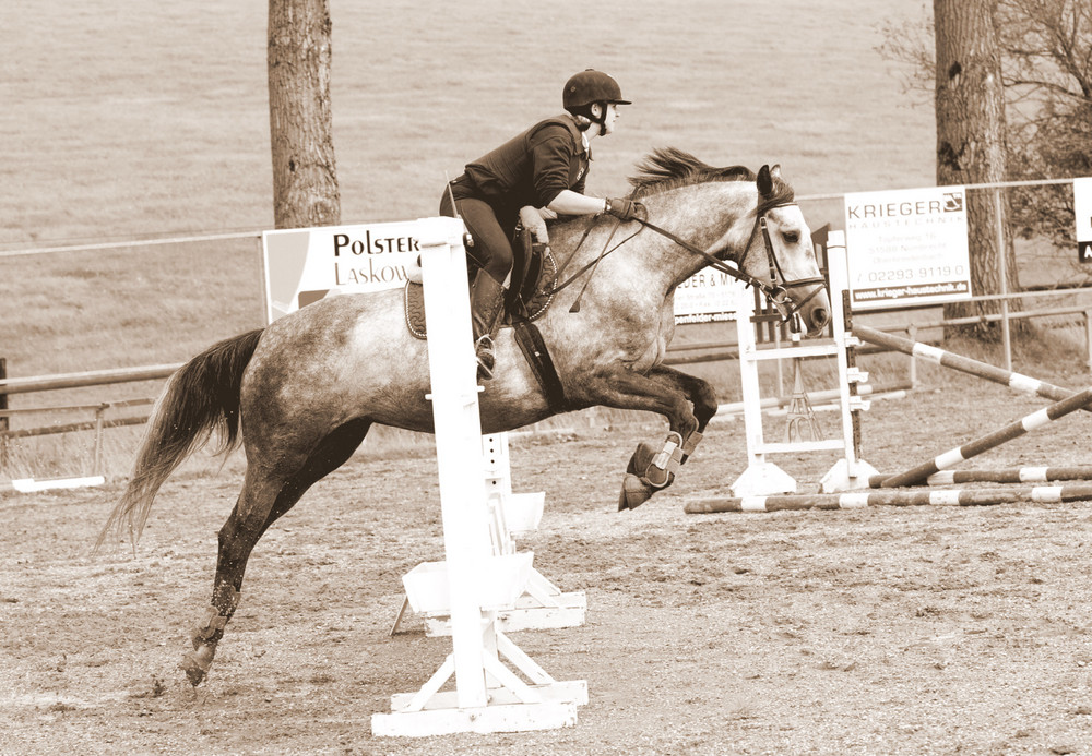 Pferd beim Springtraining [Sepia]