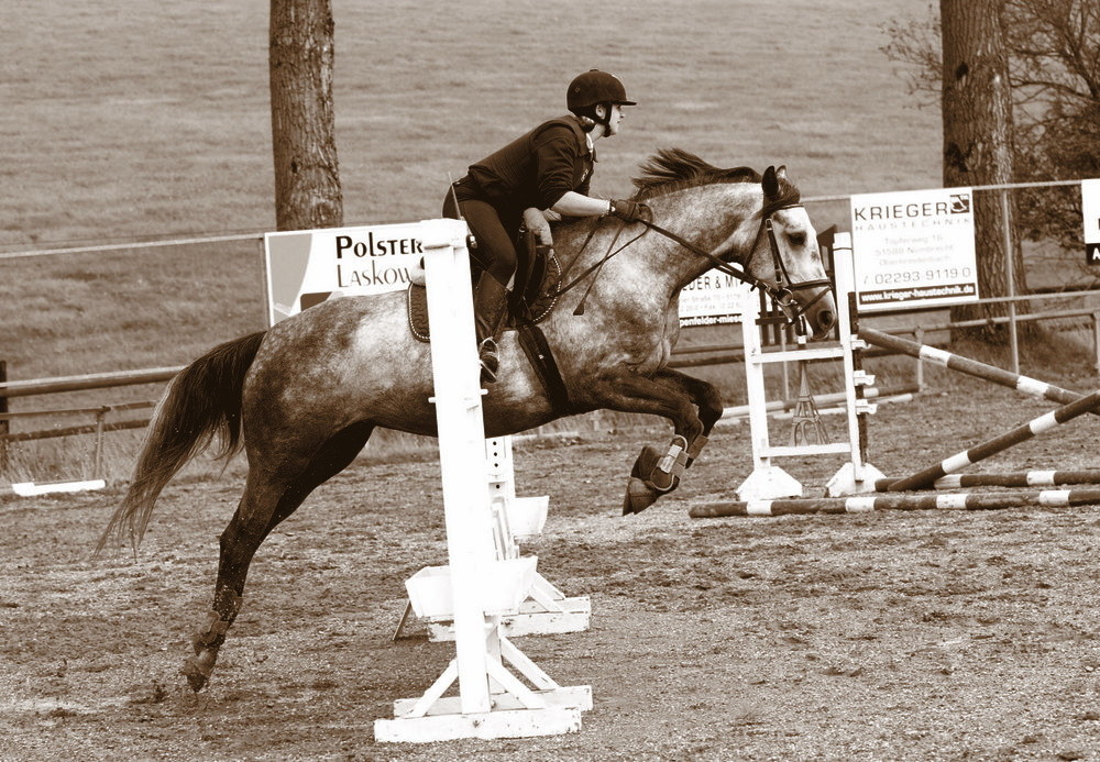 Pferd beim Springtraining [Sepia] II