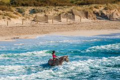 Pferd im Meer