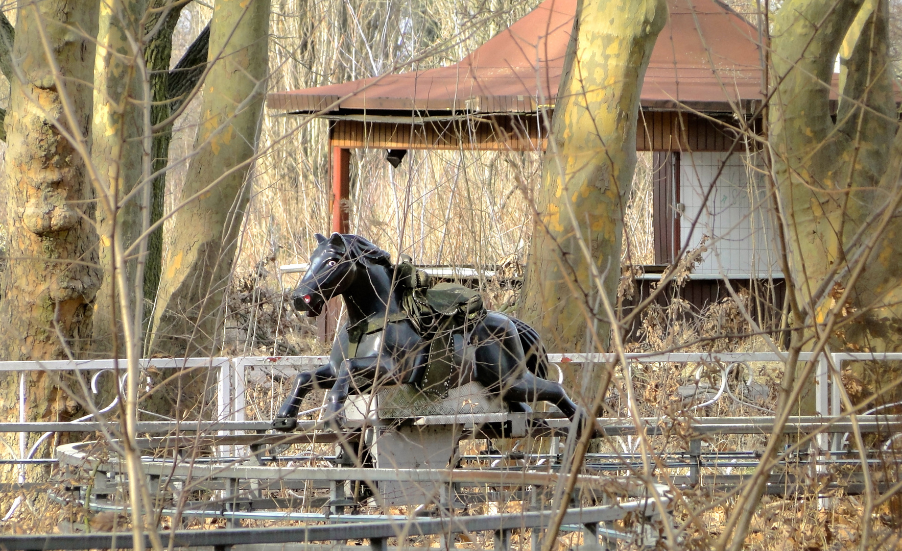 Pferd im Plänterwald