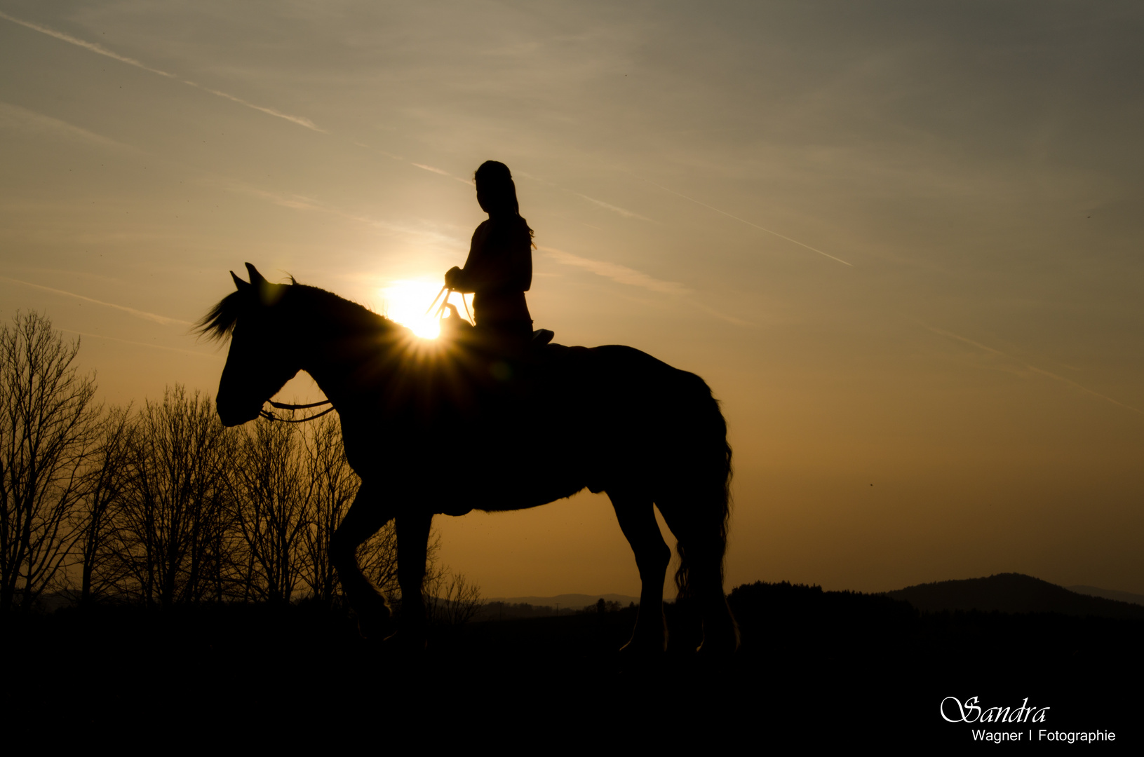 Pferd im Sonnenuntergang