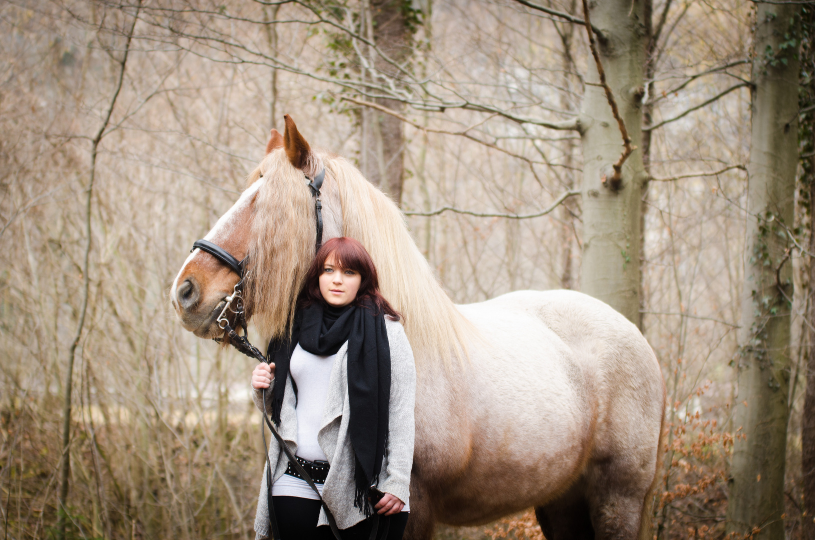 Pferd im Wald