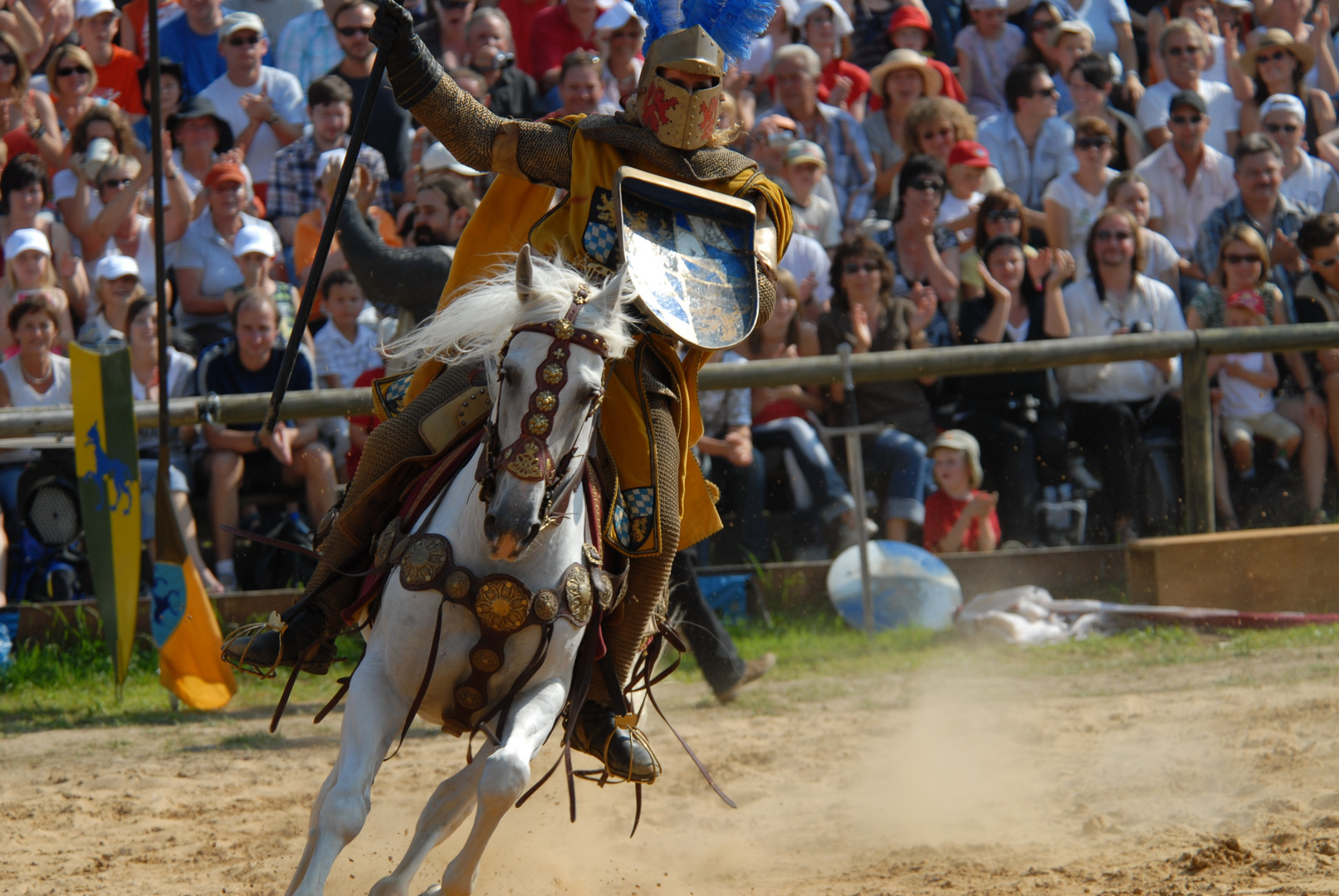 Pferd in der Kurve ...