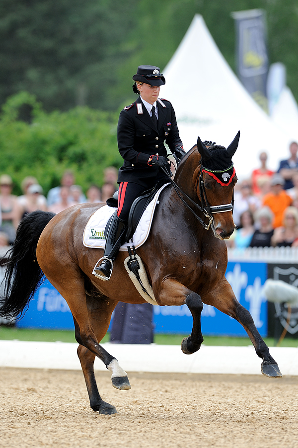 Pferd International 2012 1