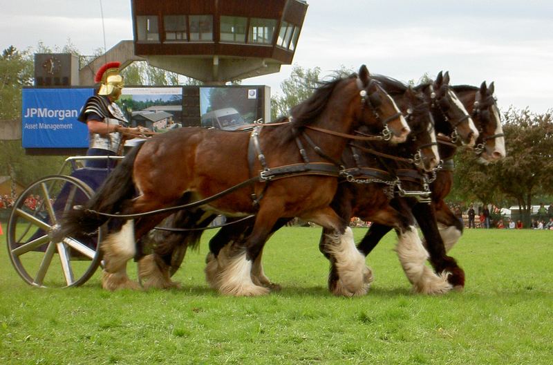 Pferd International München Riem