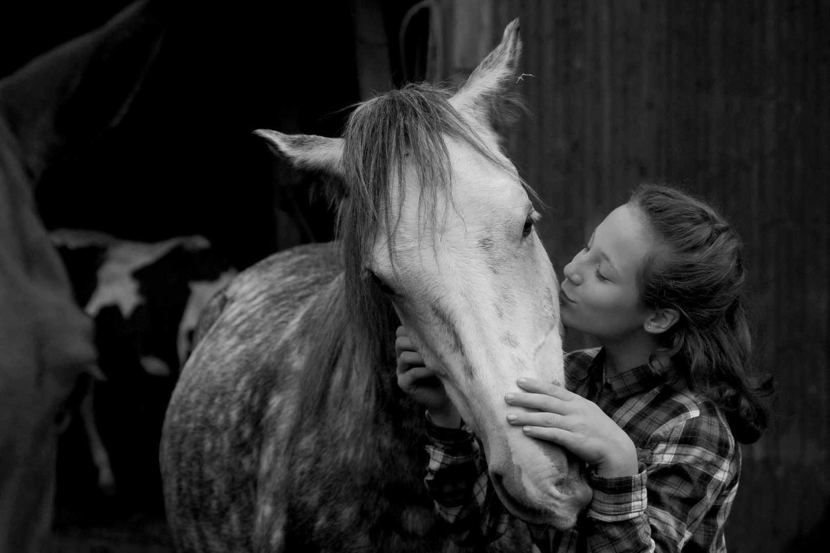 PferdMenschFreundschaft 5 Foto & Bild tiere, tier und mensch, natur