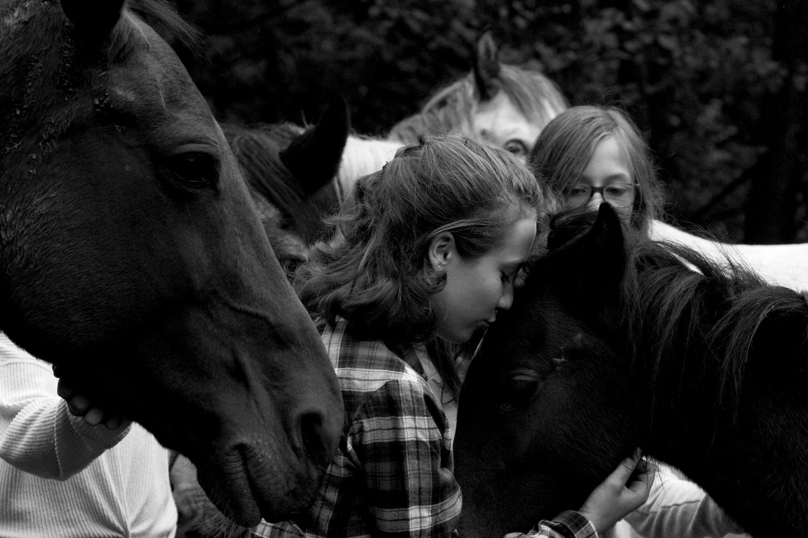 PferdMenschFreundschaft 8 Foto & Bild tiere, tier und mensch, natur