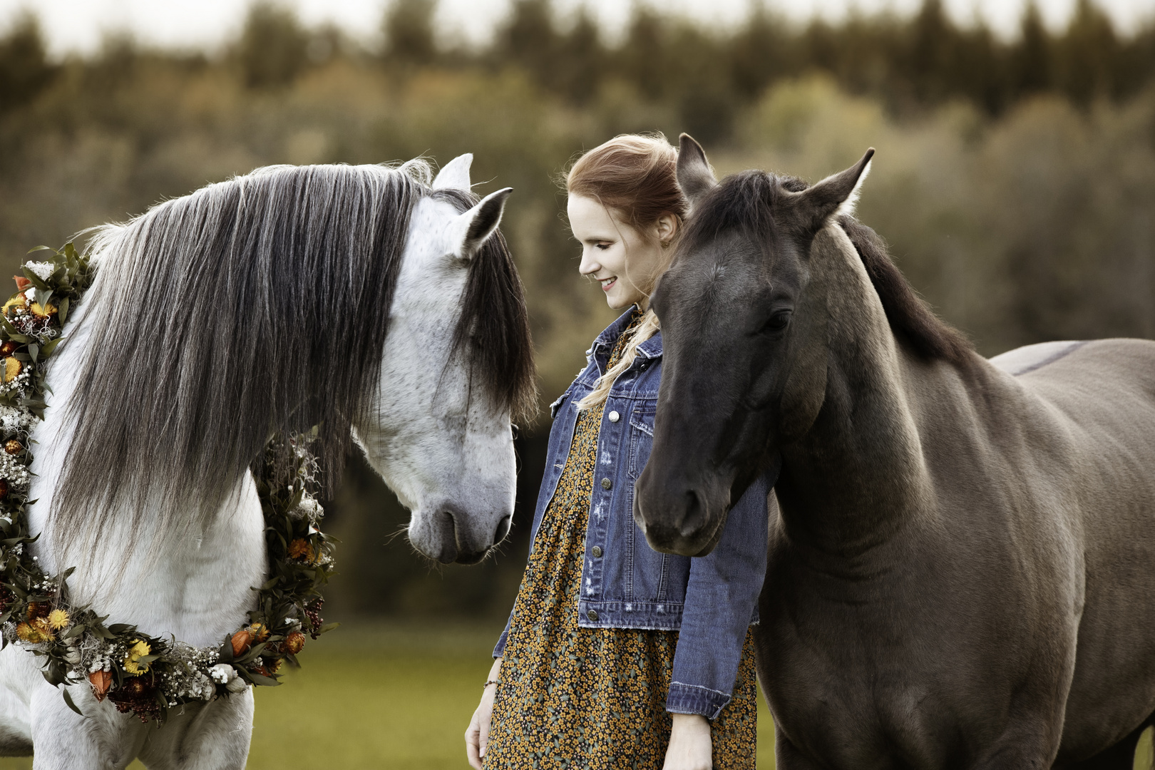 Pferd mit Blumenkranz