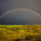 Pferd mit Regenbogen in Island