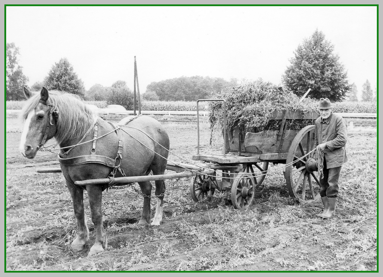 Pferd und Bauer bei der Arbeit