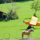 Pferd und Flugzeug