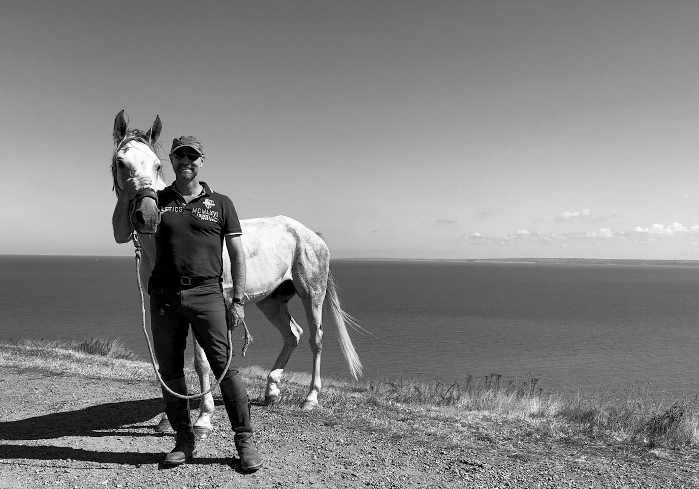 Pferd und Meer