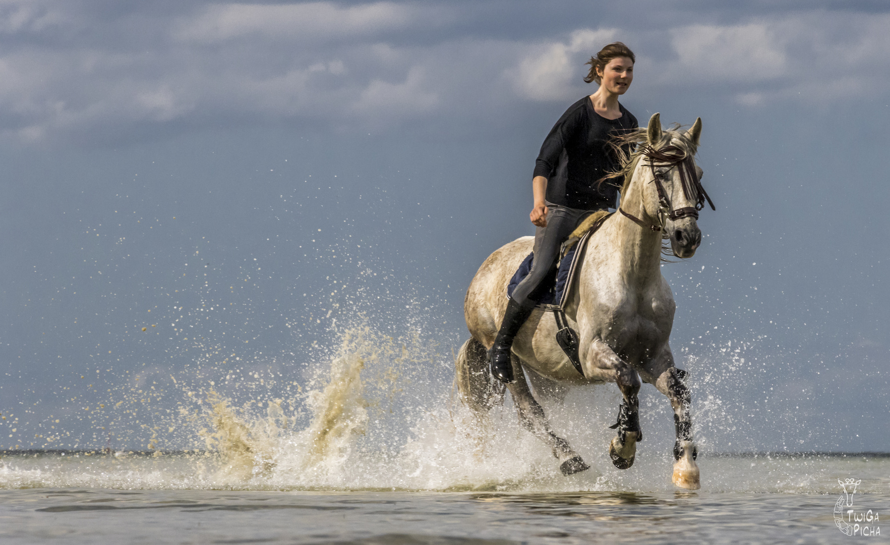 Pferd und Meer III