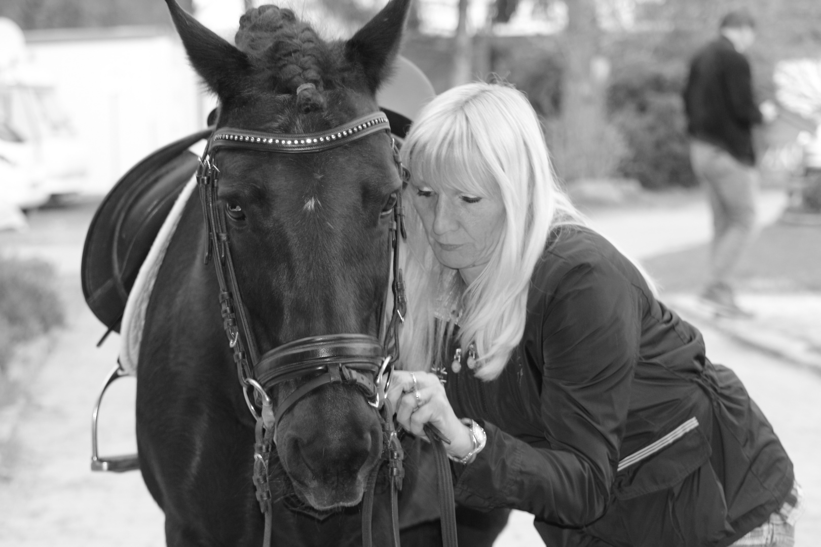 Pferd und Mensch