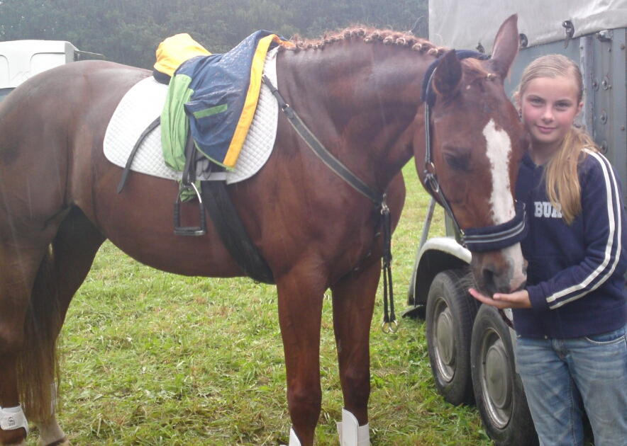 Pferd und Mensch