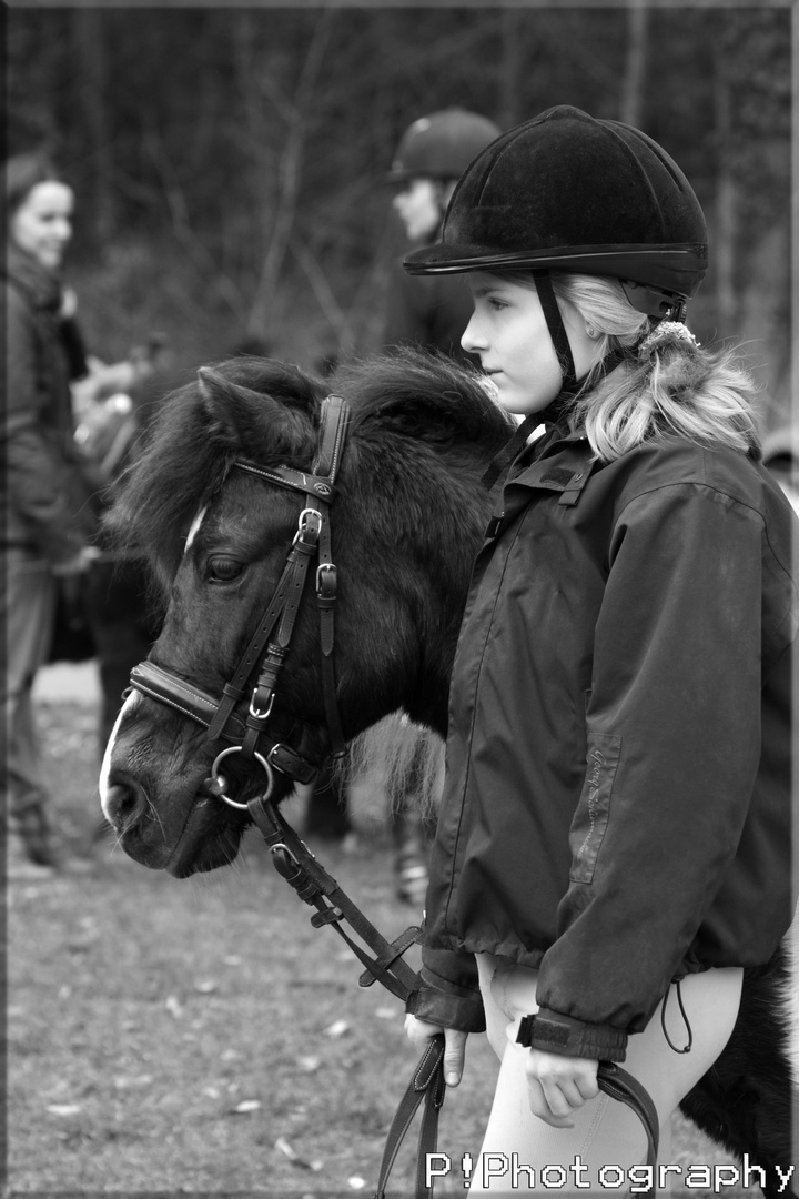 Pferd und Mensch