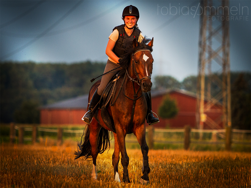 Pferd und Reiter