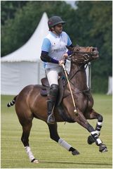 Pferd und Reiter