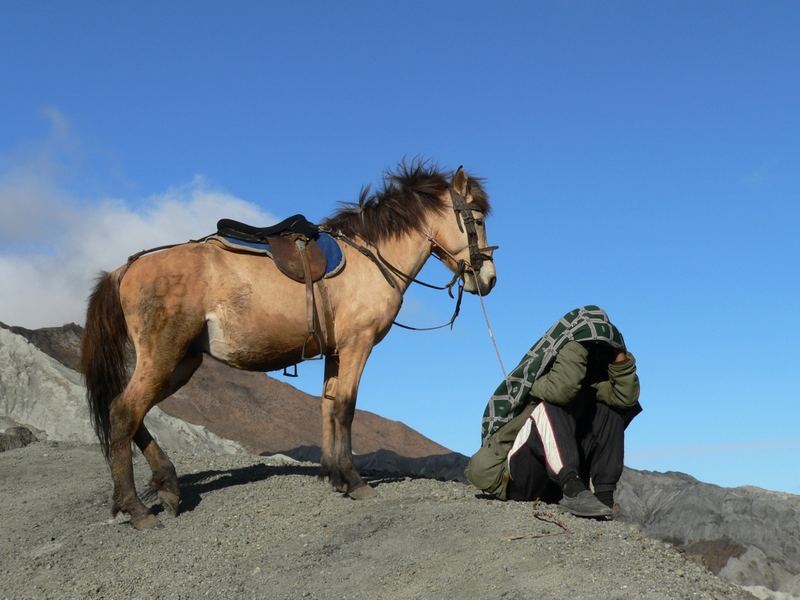 Pferd und Reiter in der Tengger Caldera