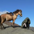 Pferd und Reiter in der Tengger Caldera