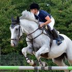 Pferd und Reiter(in) müssen eine Einheit sein, dann klappt`s!