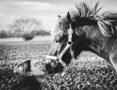 Pferd und Reiterin sind glücklich 