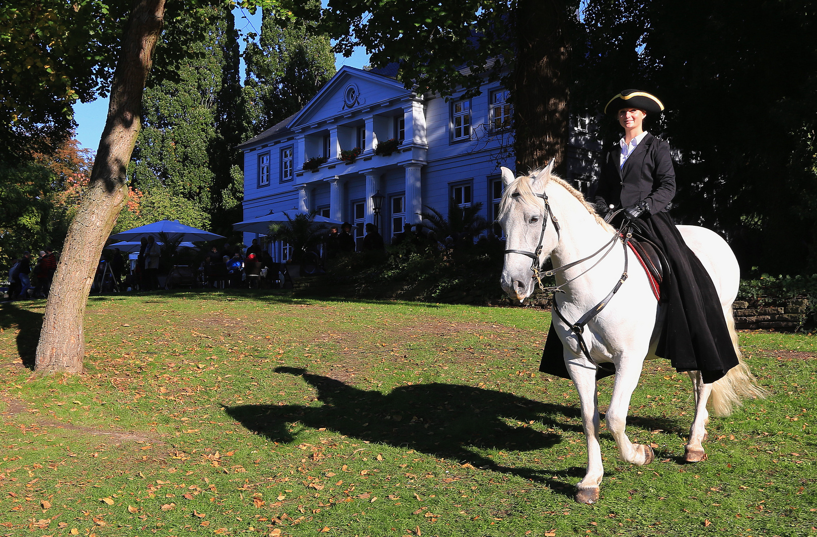 pferd und schatten