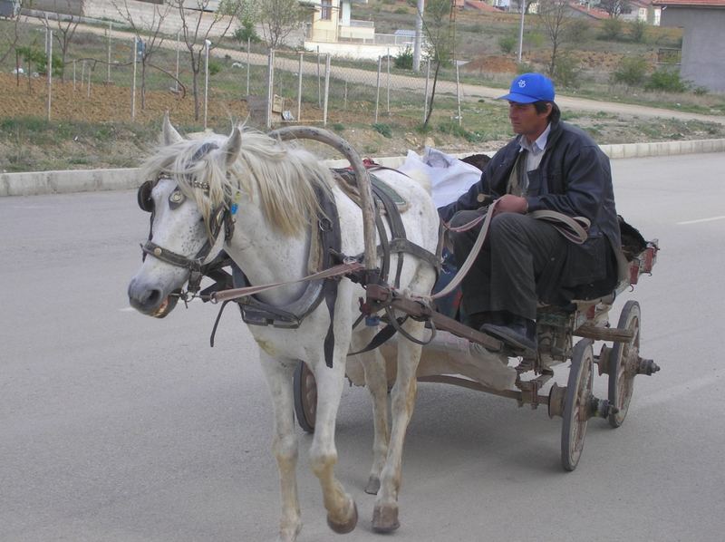 Pferd Wagen ist mein Auto