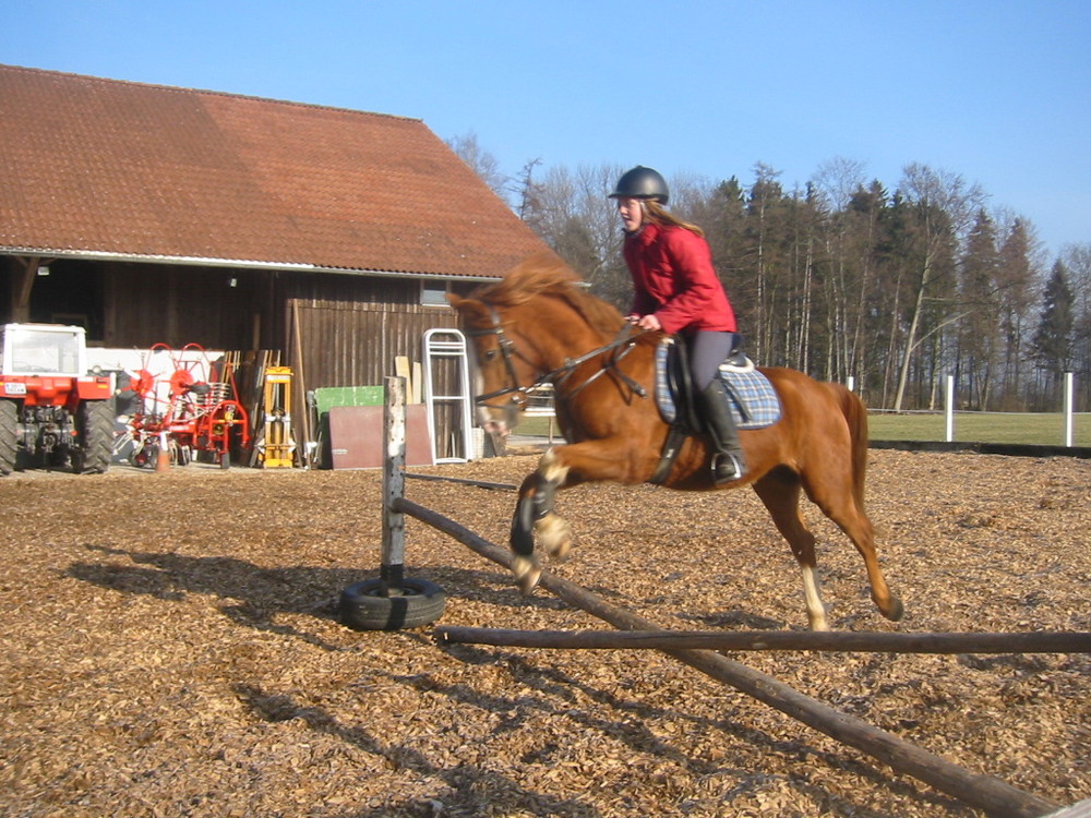 Pferdchen Hopp