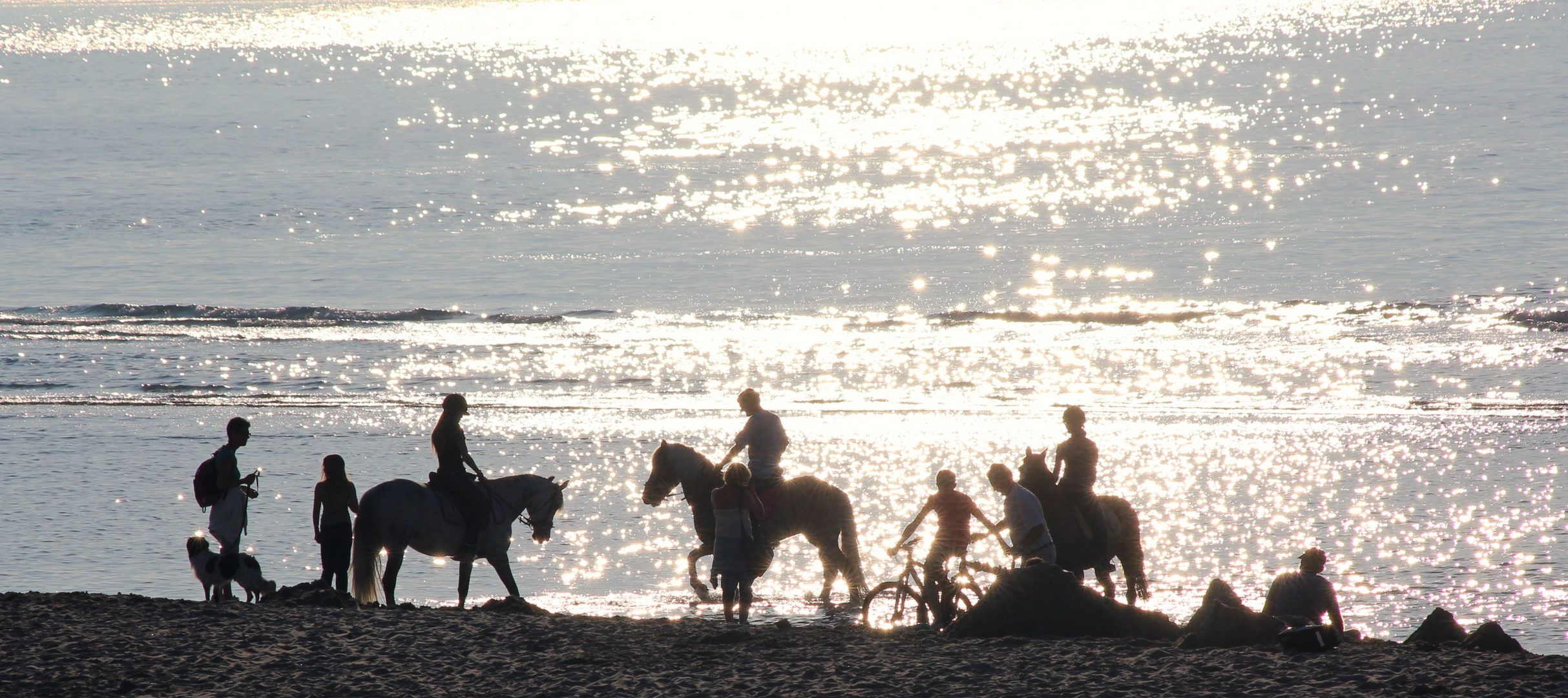 Pferde am Strand