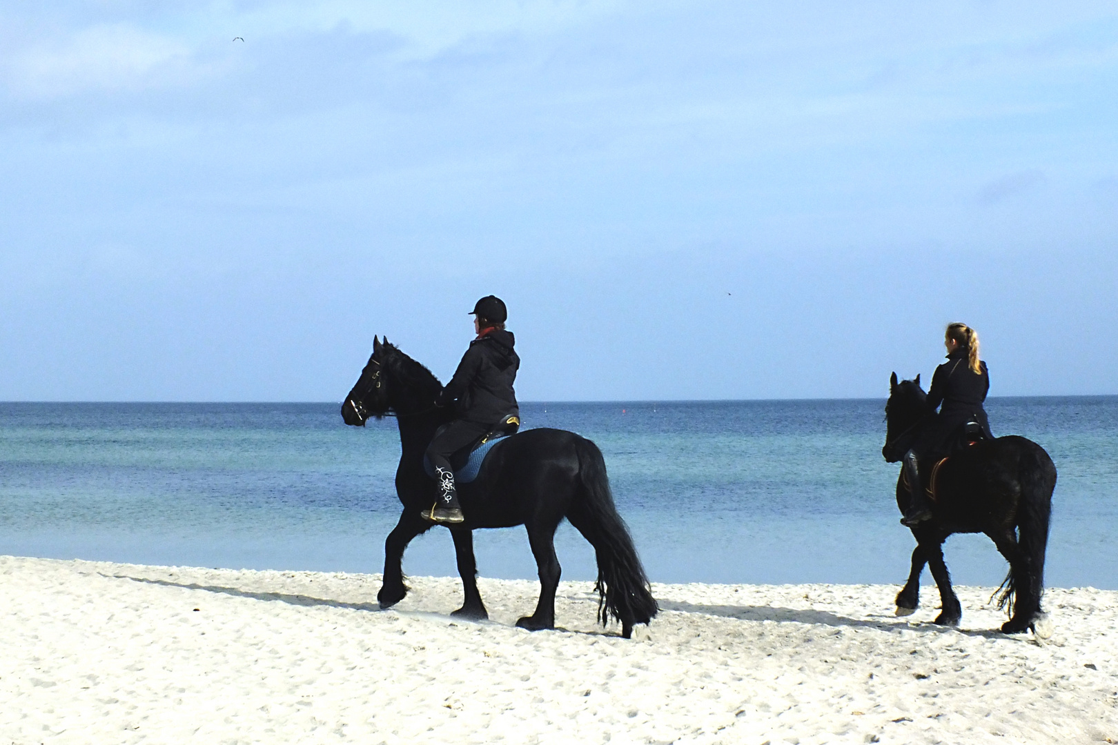 Pferde am Strand