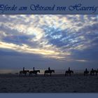 Pferde am Strand von Haurvig, Dänemark