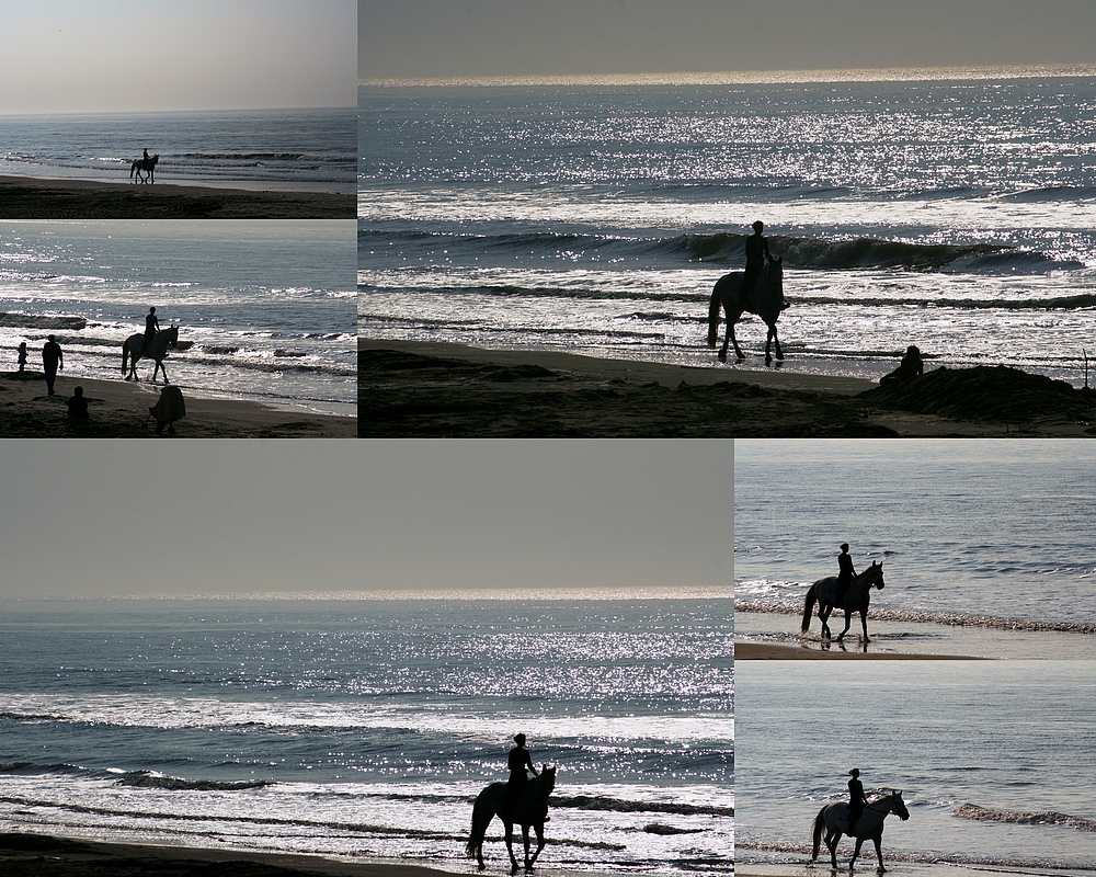 Pferde am Strand von Noordwjik (15.03.2012)(4)