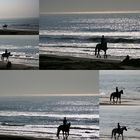 Pferde am Strand von Noordwjik (15.03.2012)(4)