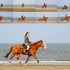 Pferde am Strand von Noordwjik (15.03.2012)(6)