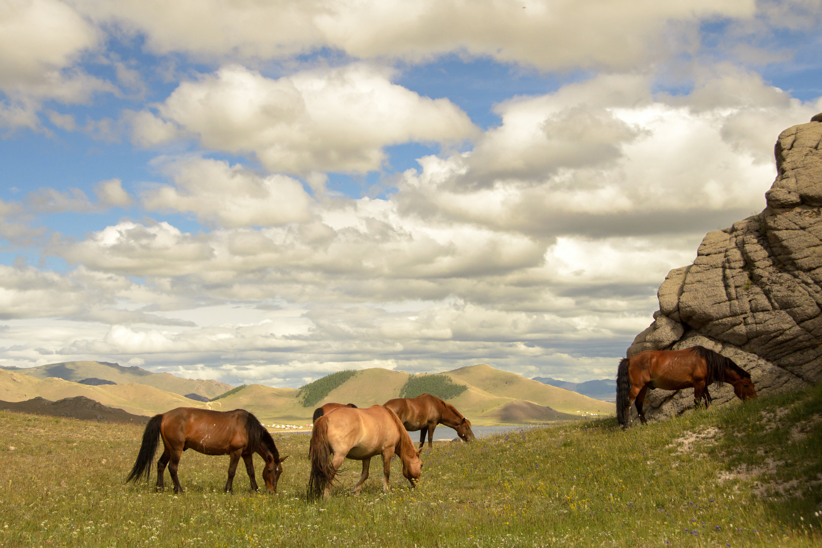 Pferde am Terchin Zaagan See