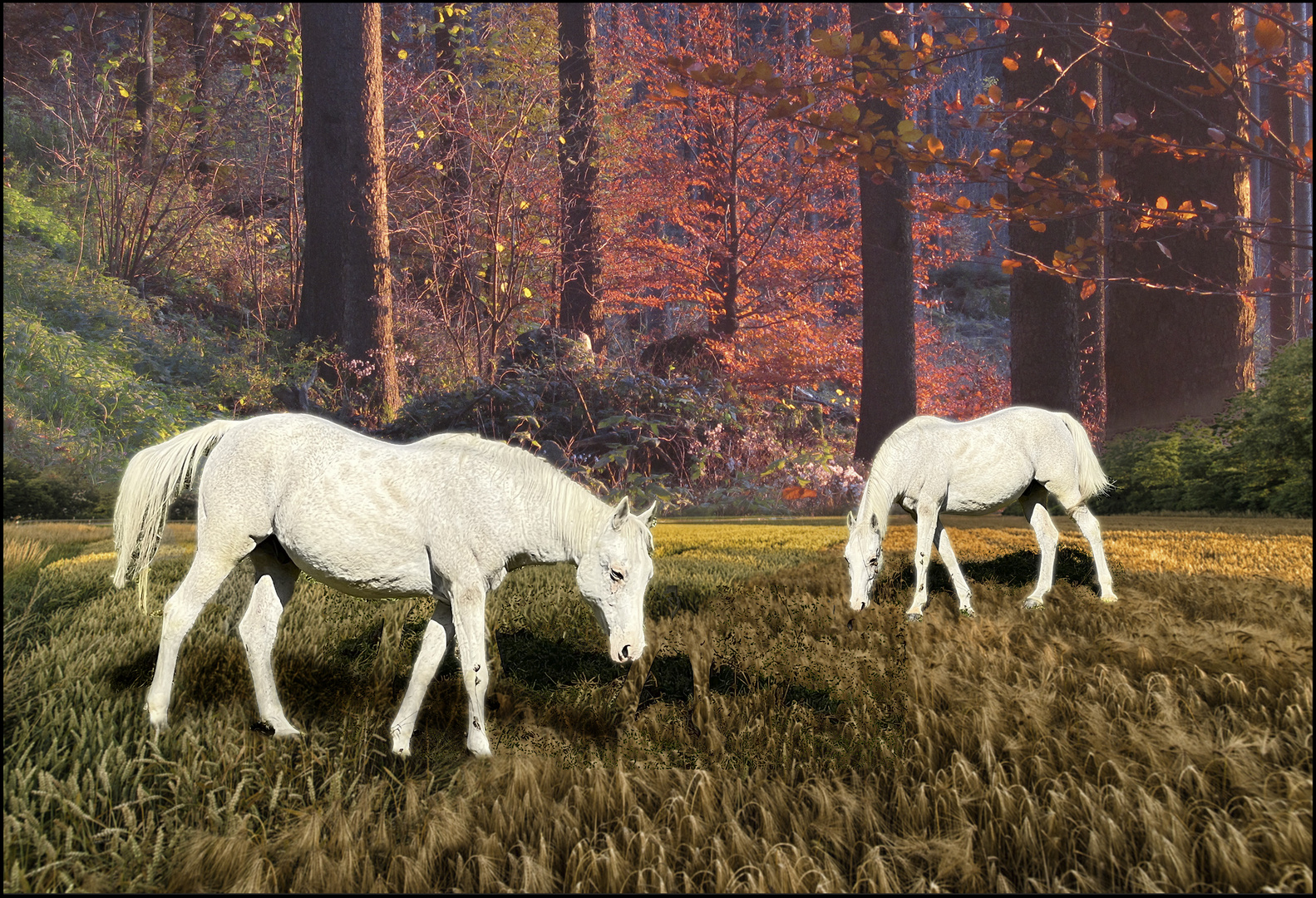 Pferde auf der Weide.