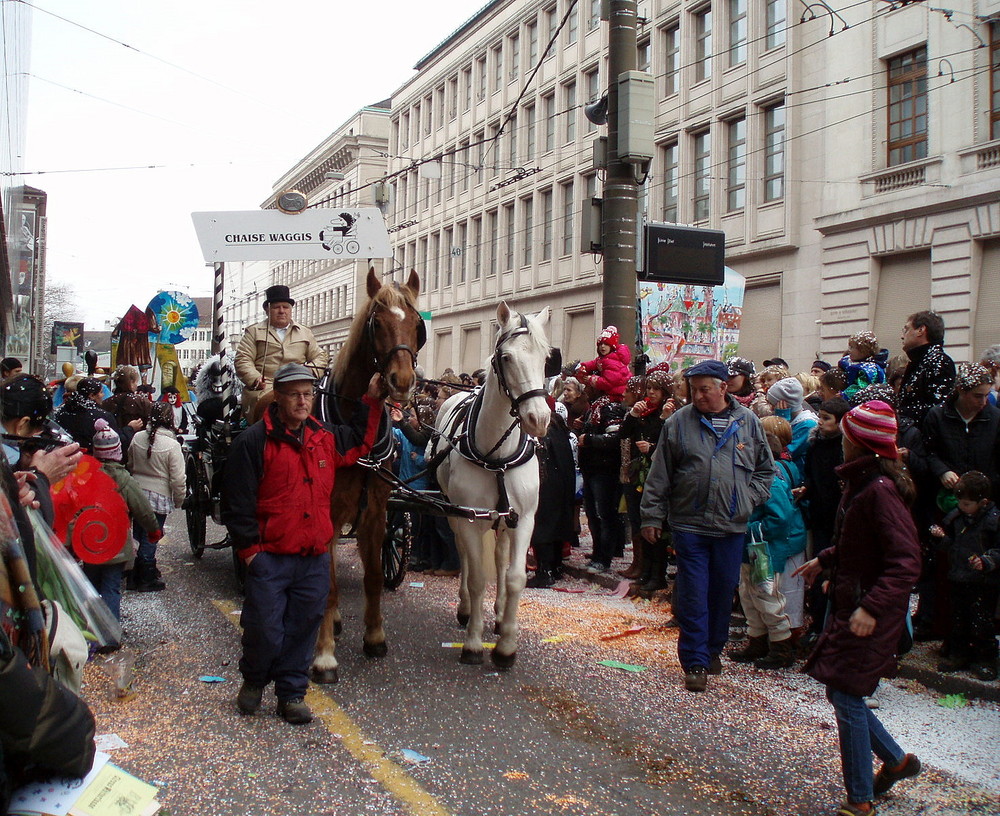 Pferde bei der Fasnacht in Basel | 3