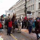 Pferde bei der Fasnacht in Basel | 3