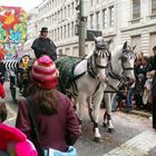 Pferde bei der Fasnacht in Basel | 6